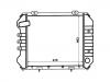 Radiator:21460-G5411