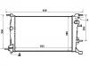 Radiator:21410-0002R
