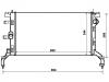 Radiator:21410-0004R