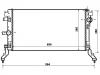 Radiator:21410-0005R