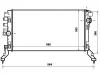 Radiator:21410-0006R