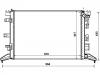 Radiator:21410-0003R